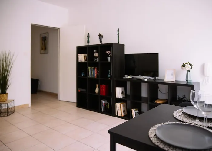Apartment Hyper-centre T2 Climatise